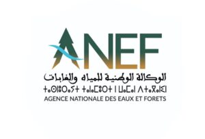 L’Agence nationale des eaux et forêts 1